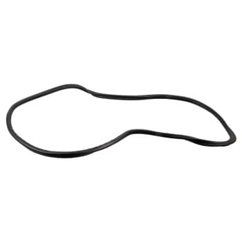 Junta de la ventana trasera