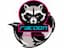 Racoon